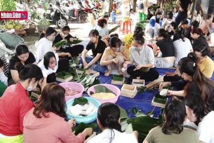 Tết ấm áp cho người vô gia cư