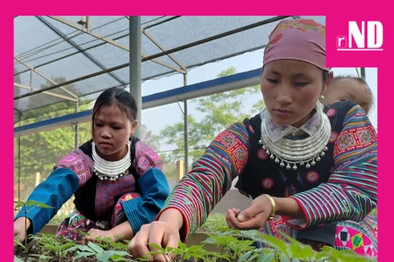 Tạo sinh kế cho người dân để giữ rừng