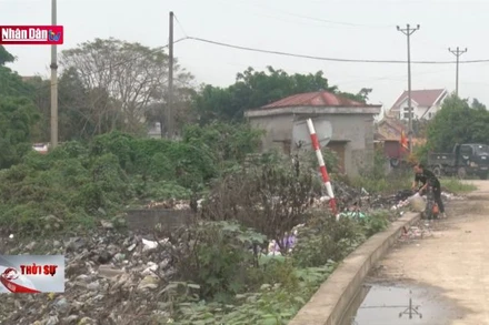 Bãi rác tập kết gây ô nhiễm môi trường tại Hải Dương