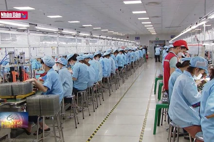 Cơ hội hợp tác với doanh nghiệp Hàn Quốc về lĩnh vực điện tử, quang tử