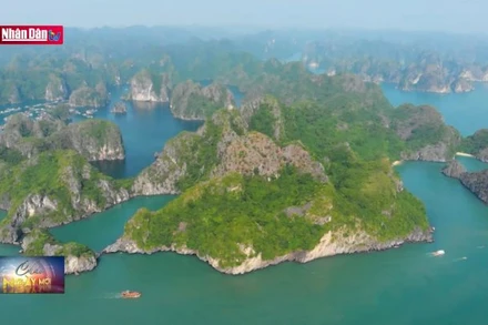 Hành trình khám phá của 14 nhà sáng tạo nội dung châu Á