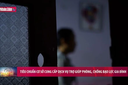 Tiêu chuẩn cơ sở cung cấp dịch vụ trợ giúp phòng, chống bạo lực gia đình