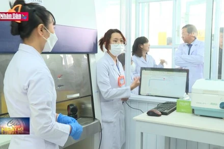 Thành phố Hồ Chí Minh ra mắt ngân hàng huyết thanh