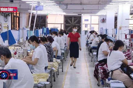 Tăng lương cơ sở lên mức 1,8 triệu đồng/tháng từ ngày 1/7/2023