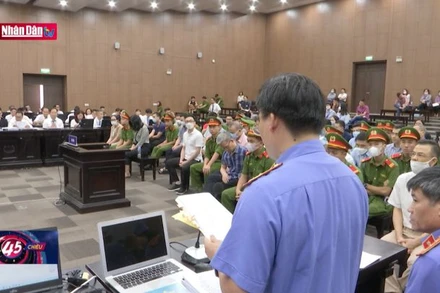 Vụ chuyến bay giải cứu: Viện Kiểm sát chất vấn về các cáo buộc