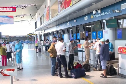 Phi công sử dụng ma túy sẽ bị sa thải