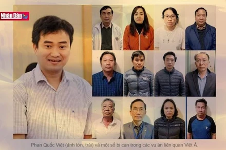 Tháo gỡ bất cập trong Luật Đấu thầu