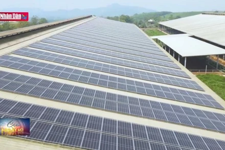 Tăng cường nhận thức về sử dụng năng lượng hiệu quả