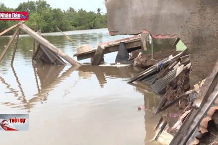 Sạt lở bờ sông ở Bạc Liêu làm hư hại 96 căn nhà