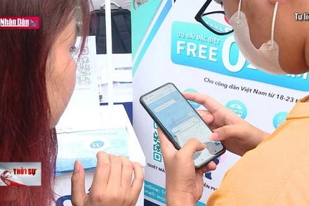 Cấp miễn phí gần 4.900 tên miền thương hiệu cá nhân trực tuyến