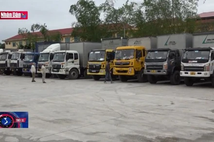 Doanh nghiệp vận tải hàng hóa tổn thất lớn vì ách tắc đăng kiểm