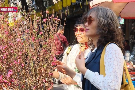 Chợ hoa ngày Tết - Sắc thái văn hóa của người Hà Nội