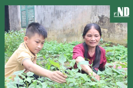 Giải bài toán người trẻ ly nông, ly hương
