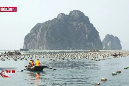 Xây dựng tinh thần dám đương đầu với thử thách