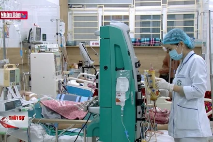 Nhiều ca ngộ độc rượu methanol rất nặng sau Tết