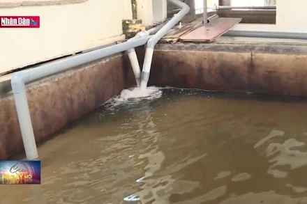 Hàng nghìn hộ dân ở Hải Phòng bức xúc vì nguồn nước không sạch