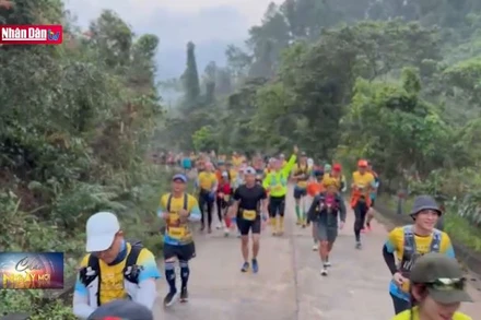 Giải chạy để bảo tồn động, thực vật hoang dã