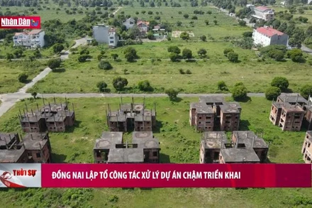 Đồng Nai lập tổ công tác xử lý dự án chậm triển khai