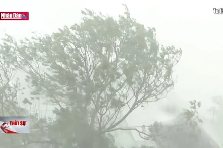 Bão số 1 gây mưa lớn ở Việt Bắc và Đông Bắc