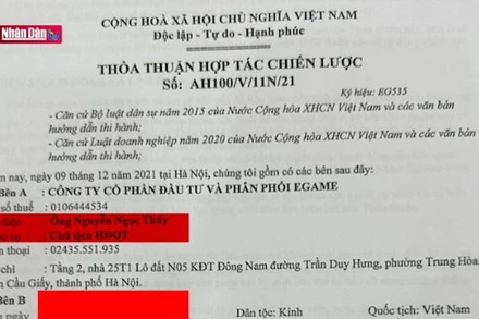 Chiêu trò huy động vốn qua hình thức hợp tác đầu tư