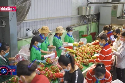 Sẵn sàng đón thị trường Trung Quốc mở cửa