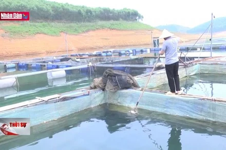 Khó khăn của người dân khi nước ở hồ Thác Bà xuống thấp