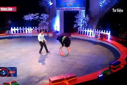 Bài toán nâng tầm xiếc Việt Nam