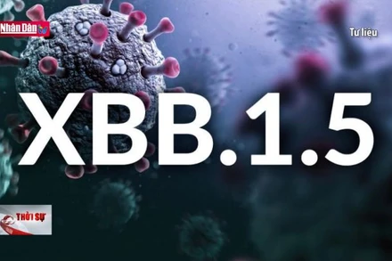 Xuất hiện biến chủng mới của Covid-19 đầu tiên ở Việt Nam