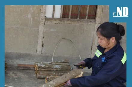 Tiêu điểm: Mùa vàng từ… những cái bắt tay