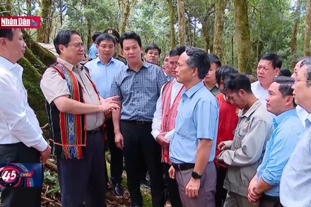 Liên kết 6 nhà để đẩy mạnh ngành công nghiệp sâm