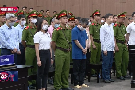 Vụ chuyến bay giải cứu: 4 án chung thân được tuyên