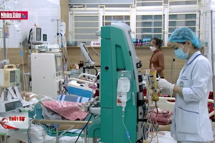 570 ca khám, cấp cứu do ngộ độc thức ăn