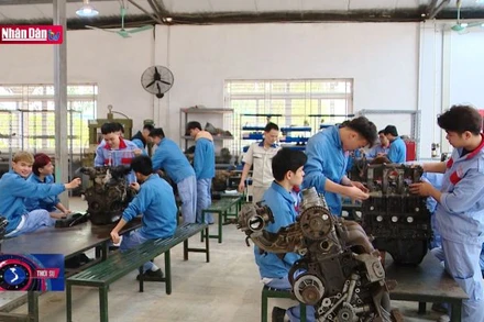 Lớp 10 công lập không phải là con đường duy nhất