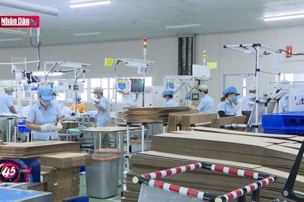 Khai thác tối đa tiềm năng hợp tác song phương Việt Nam - Hàn Quốc