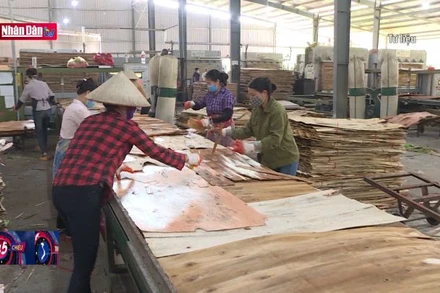 Hơn 51 nghìn doanh nghiệp đóng cửa trong 2 tháng đầu năm