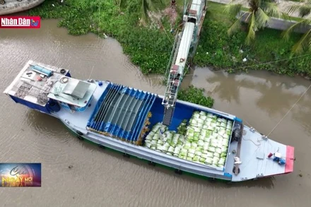 Giải bài toán logistics cho xuất khẩu nông sản