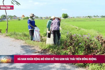 Hà Nam nhân rộng mô hình bể thu gom rác thải trên đồng ruộng