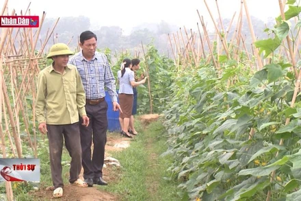 Kiên quyết đấu tranh với ''bệnh xa dân''