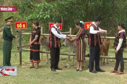 Trao phương tiện sinh kế cho người dân xã biên giới Việt - Lào