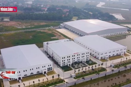 Thích ứng với thuế suất tối thiểu toàn cầu