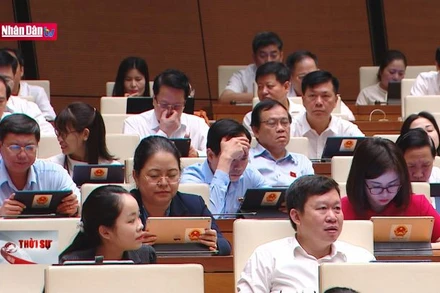 Thông qua luật sửa đổi, bổ sung một số điều của 2 luật Xuất - Nhập cảnh