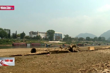 Mực nước sông Lô qua TP Tuyên Quang xuống mức thấp kỷ lục