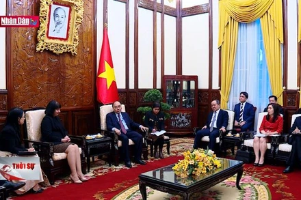 Chủ tịch nước tiếp Đại sứ Romania