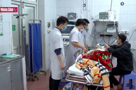 Cảnh báo nguy cơ gia tăng tai nạn giao thông do rượu bia Tết