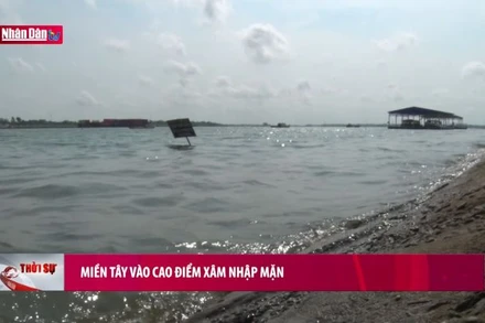 Miền Tây vào cao điểm xâm nhập mặn