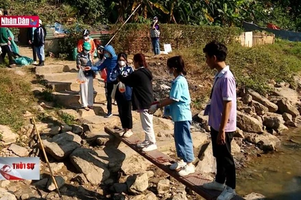 Thả cá không thả rác