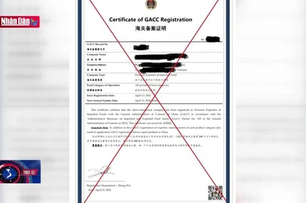 Cảnh báo Giấy chứng nhận xuất khẩu nông sản giả mạo