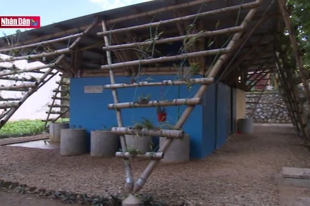 Nhận diện tính bản địa trong kiến trúc đương đại