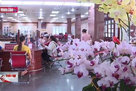 Nghị quyết mới tạo sức bật phát triển cho TP Hồ Chí Minh