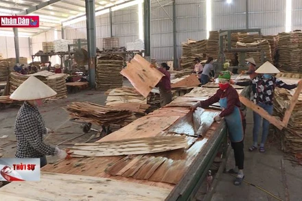 Bình quân một tháng có 19,2 nghìn doanh nghiệp rút lui khỏi thị trường